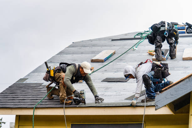 Professional Storm Damage Roof Repair technician working in Paris, AR